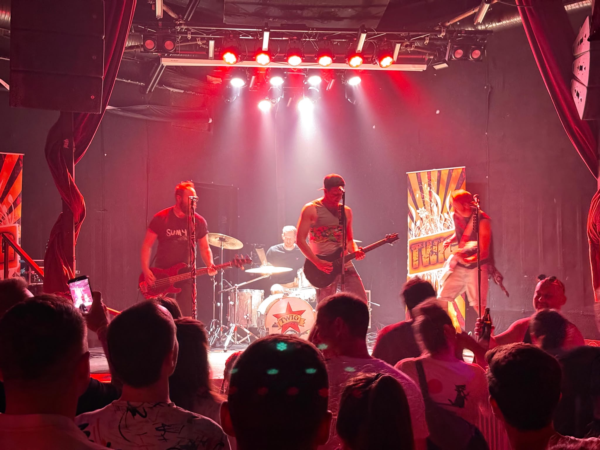 Concert crowd